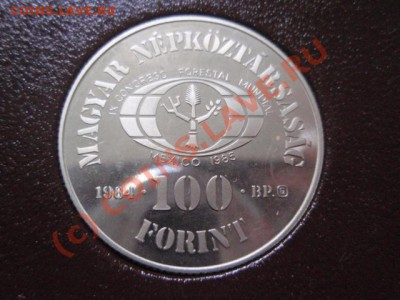 Венгрия 20 и 100 фор. 1984 Лес. пруф-сет до 13.09 в 21.00М - P9094137.JPG