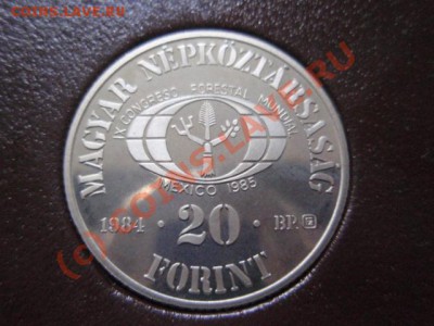 Венгрия 20 и 100 фор. 1984 Лес. пруф-сет до 13.09 в 21.00М - P9094136.JPG