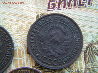 1 копейка 1925г. 3 штуки неплохие. - DSCN5951 11