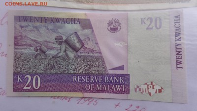 МАЛАВИ  20 квача 2007 г пресс  в 21-00 мСК до  25 ноя - ........18.11.2015.....ггг 361.JPG