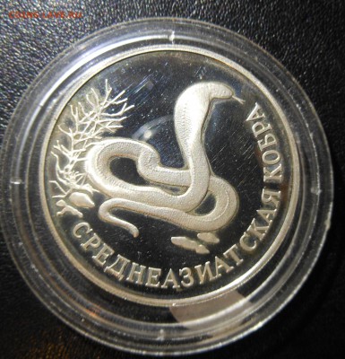 1р 1994г кобра короткий  до 20.11.15 22-00 - DSCN0878.JPG