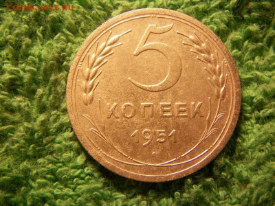5 копеек 1951 шт.3.12 Б  до  22.11.15 - 100_2935.JPG