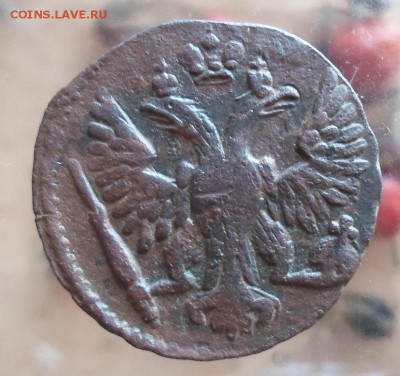 Денга 1749 г  до 24.11.2015  в 22 Мск - SAM_6081а