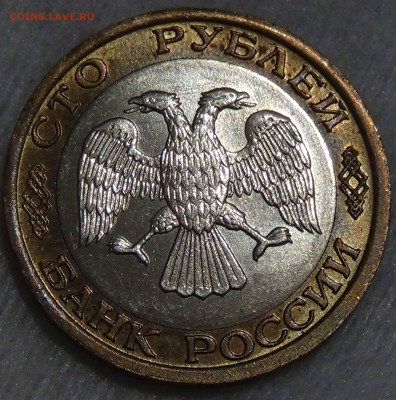 100 рублей 1992 ММД До 22.11.2015 (вс. 22-30) - DSC05605.JPG