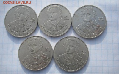 Ломоносов 5 шт - IMG_2318.JPG