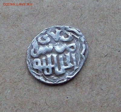 Кладовый дирхем Джанибека чеквн Сарай ал-Джедид. - 100_8515.JPG