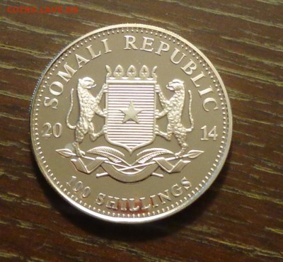 СОМАЛИ - ТРИ СЛОНА 2014 унцовка до 27.11, 22.00 - Сомали три слона под луной-1