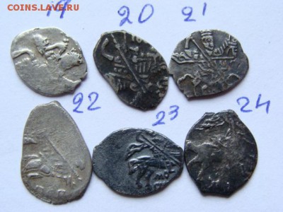 Чешуя не Петровская. Определение и предпродажная оценка. - DSC09197.JPG