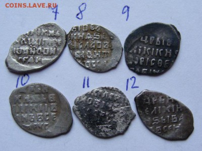 Чешуя не Петровская. Определение и предпродажная оценка. - DSC09194.JPG