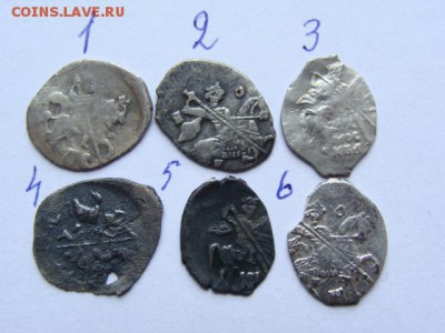 Чешуя не Петровская. Определение и предпродажная оценка. - DSC09191.JPG