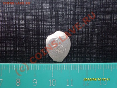 Рязанский удел! Продам! - SDC10258.JPG