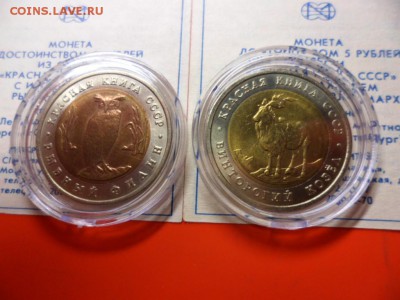 ФИКС. КК 1991 Филин и Козёл UNC 28.11.15 22.00 - SAM_4849.JPG