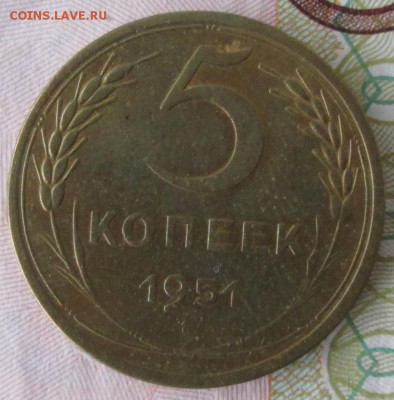 5 копеек 1951 года до 22-00 29.11.2015 года - IMG_3439.JPG