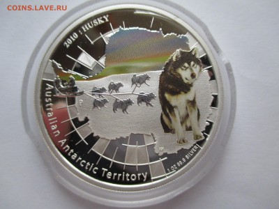 1$ австралия 2010 Г ХАСКИ ДО 29 11 15  22 00 МСК - IMG_0421.JPG
