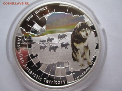 1$ австралия 2010 Г ХАСКИ ДО 29 11 15  22 00 МСК - IMG_0418.JPG