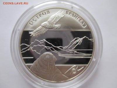 3 РУБЛЯ ОСТРОВ ВРАНГЕЛЯ 2012  ДО 29 11 15 22 00 МСК - IMG_0391.JPG