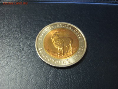 КК Винторогий козёл UNC мешковой до 26.11 22:00 мск - IMG_1141.JPG