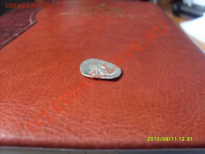 Рязанский удел! Продам! - SDC10259.JPG