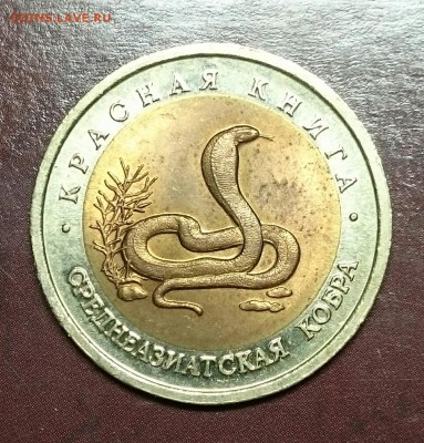 Красная книга 1992-93-94 не комплект (фикс) - IMG_20151124_004808.JPG