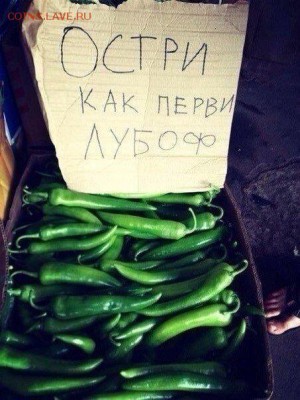 юмор - -X0-3zMa_Sc