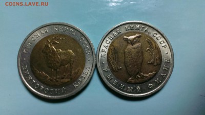 КК 1991 Филин и Козел.Смещение вставок. До 28.11.15. в 22-20 - IMAG0804