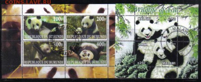 Бурунди, Малави мл Панды до 26.11 22.00мск - Бурунди, Малави мл Панды