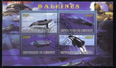 Джибути мл 2009г Киты до 26.11 22.00мск - Джибути мл 2009г Киты