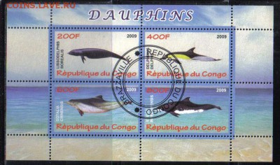 Конго мл 2009г Дельфины до 26.11 22.00мск - Конго мл 2009г Дельфины