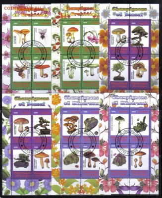 Конго мл 2009г Грибы до 26.11 22.00мск - Конго мл 2009г Грибы-1