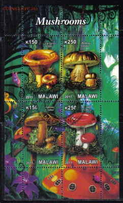 Малави мл 2011г Грибы до 26.11 22.00мск - Малави мл 2011г Грибы-2