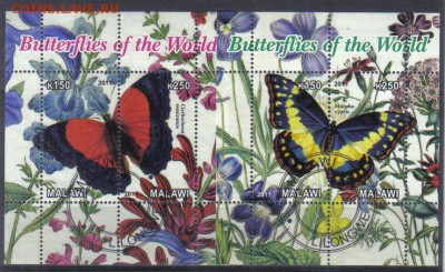 Малави мл 2011г Бабочки до 26.11 22.00мск - Малави мл 2011г Бабочки-2