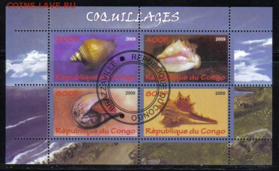Конго мл 2009г Моллюски до 26.11 22.00мск - Конго мл 2009г Моллюски