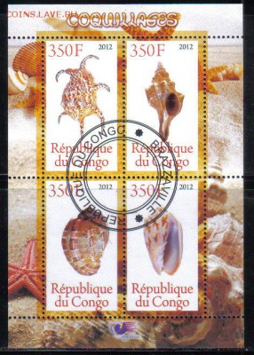 Конго мл 2012г Моллюски до 26.11 22.00мск - Конго мл 2012г Моллюски
