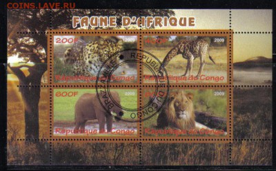 Конго мл 2009г Животные Африки до 26.11 22.00мск - Конго мл 2009г Животные Африки