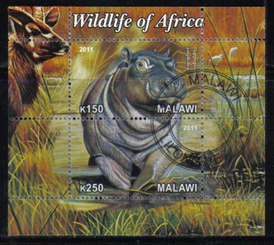 Малави мл 2011г Бегемот до 26.11 22.00мск - Малави мл 2011г Бегемот