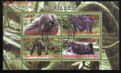 Конго мл 2009г Гориллы до 26.11 22.00мск - Конго мл 2009г Гориллы