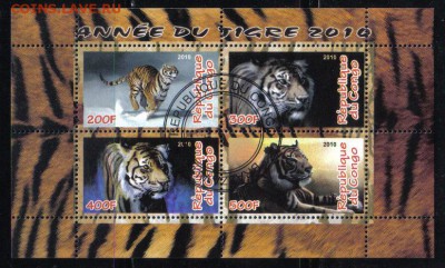 Конго мл 2010г Тигры до 26.11 22.00мск - Конго мл 2010г Тигры