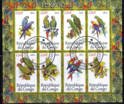 Конго мл 2012г Попугаи №1 до 26.11 22.00мск - Конго мл 2012г Попугаи №1