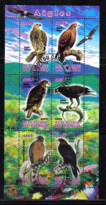 Конго мл 2012г Орлы до 26.11 22.00мск - Конго мл 2012г Орлы