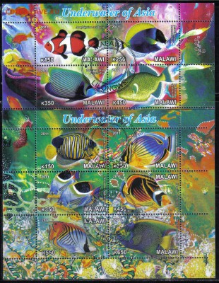 Малави мл 2011г Подводный мир Азии до 26.11 22.00мск - Малави мл 2011г Подводный мир Азии