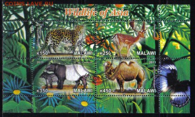 Малави мл 2011г Животные Азии до 26.11 22.00мск - Малави мл 2011г Животные Азии-2