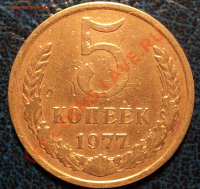 5коп. 1977г. 4стебля в правом срезе, а может 5. - DSC01253.JPG
