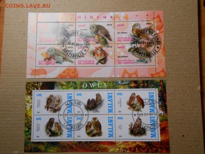 Совы, 2 малых листа, до 30.11.2015 - DSCN1842.JPG