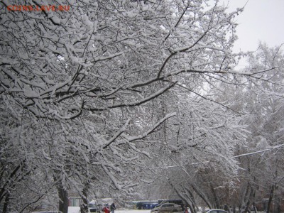 ФОТО - просто фото. Те что получились удачными. - IMG_2378[1].JPG