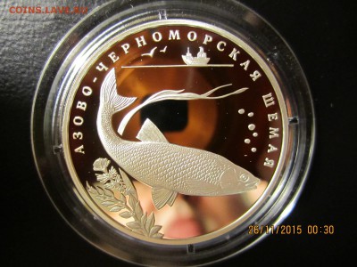 Красная книга 2008  3 монеты номиналом 2 рубля - IMG_3988.JPG