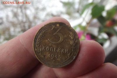 Поиск монет в заброшенных домах - DSCF1931.JPG