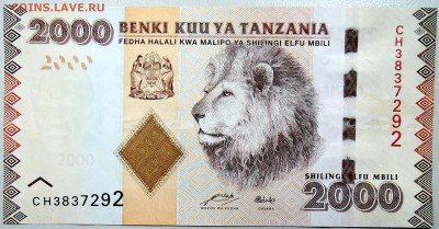 ТАНЗАНИЯ - 2000 шиллингов 2010 г. пресс до 02.12 в 21:40 - DSCN1909.JPG