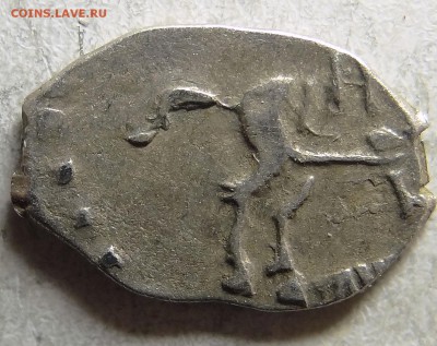 Нечастая копейка Петра 1 (2142 - 7 ст.р) - 023.JPG