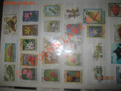 у меня более 1300марок подскажите какая самая-самая - IMG_0910