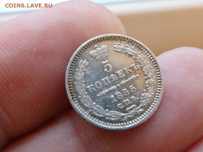 5 копеек 1855 ОТЛИЧНЫЕ до 03.12 до 22.00 - DSC06419.JPG